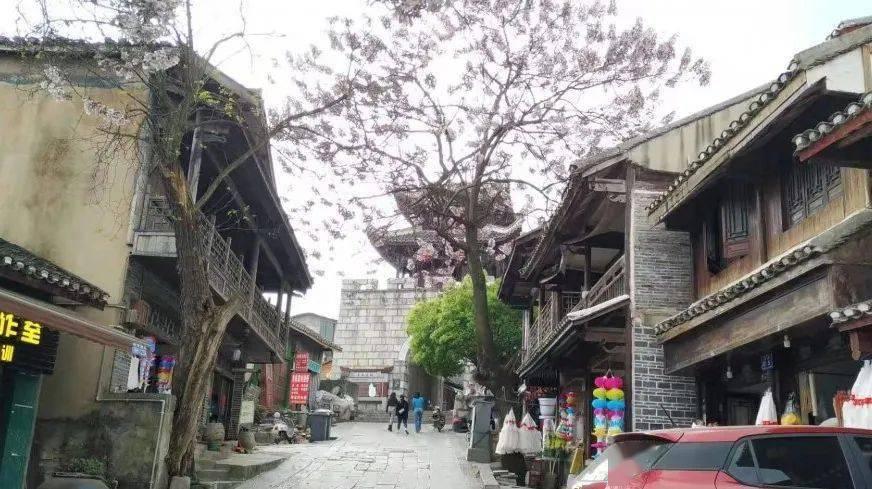 海南临高县官方通报“古银瀑布村民私自拍摄游客照片并强制要求购买”：责令停业整顿
